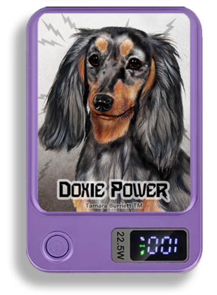 Doxie Wireless Magnetic Phone Charger Bank