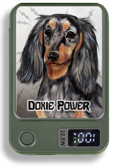 Doxie Wireless Magnetic Phone Charger Bank