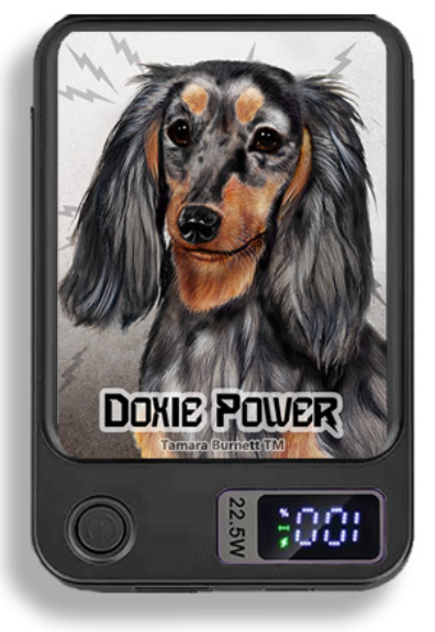 Doxie Wireless Magnetic Phone Charger Bank