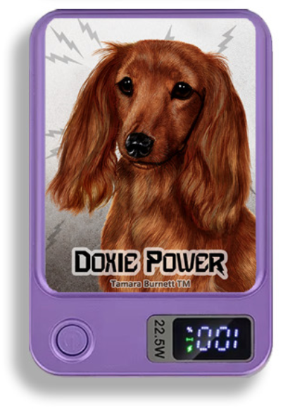 Doxie Wireless Magnetic Phone Charger Bank