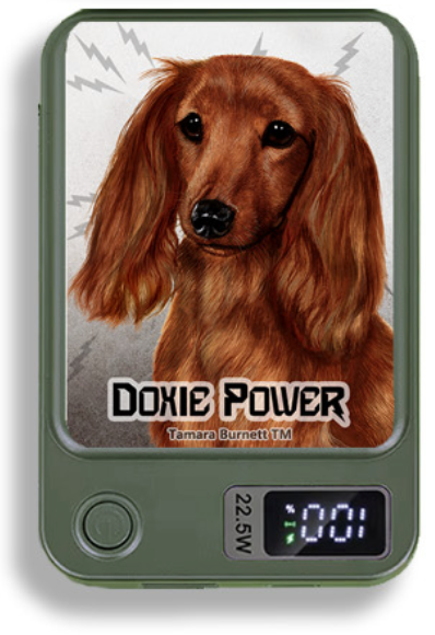 Doxie Wireless Magnetic Phone Charger Bank