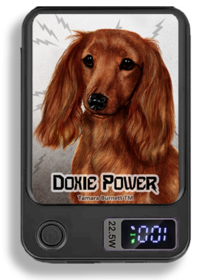 Doxie Wireless Magnetic Phone Charger Bank