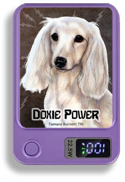 Doxie Wireless Magnetic Phone Charger Bank