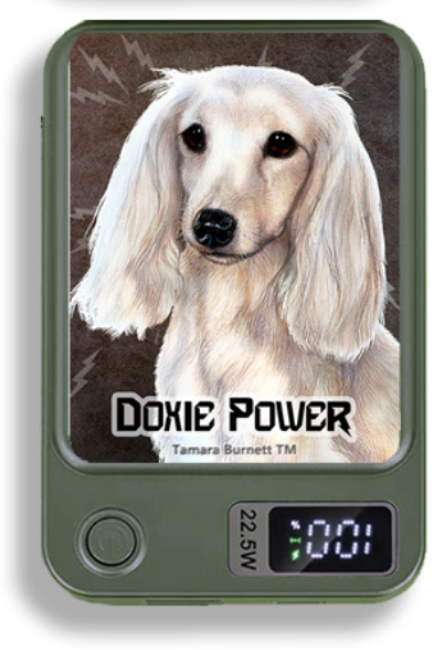 Doxie Wireless Magnetic Phone Charger Bank