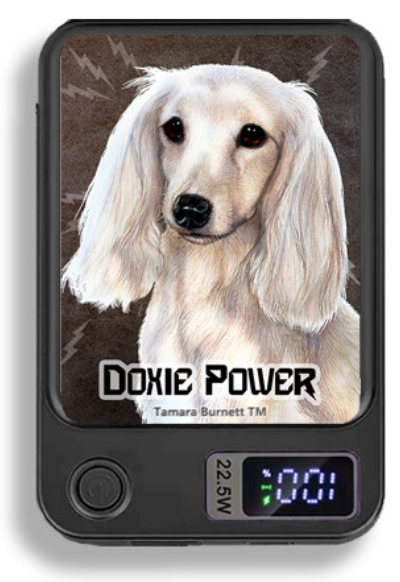 Doxie Wireless Magnetic Phone Charger Bank