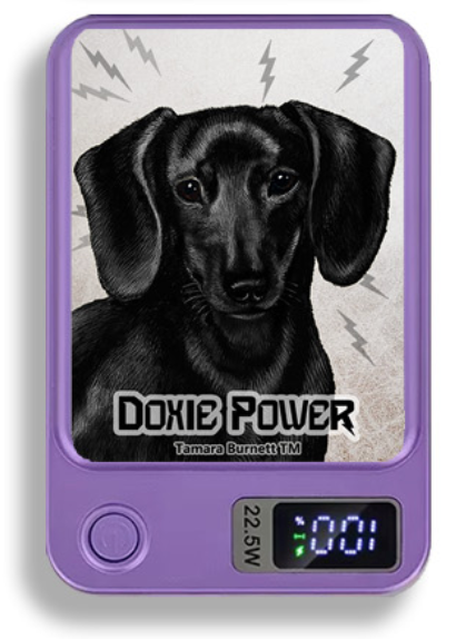 Doxie Wireless Magnetic Phone Charger Bank