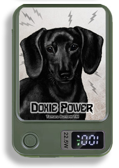 Doxie Wireless Magnetic Phone Charger Bank