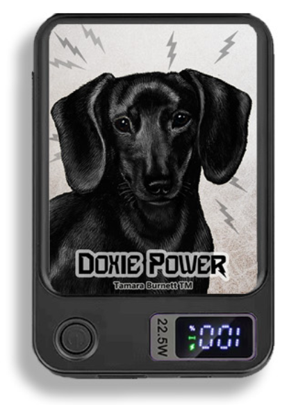Doxie Wireless Magnetic Phone Charger Bank