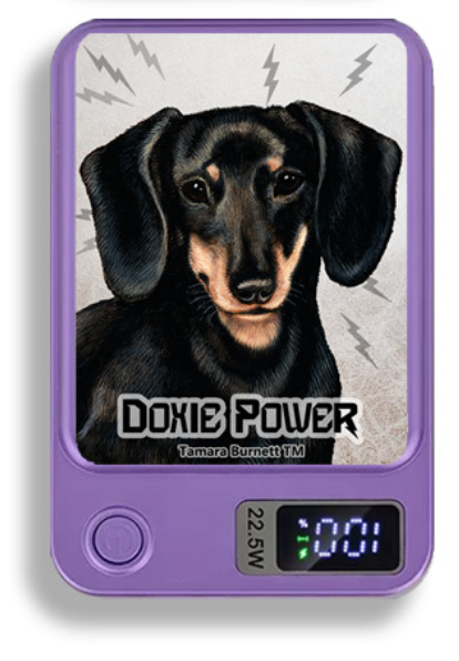 Doxie Wireless Magnetic Phone Charger Bank