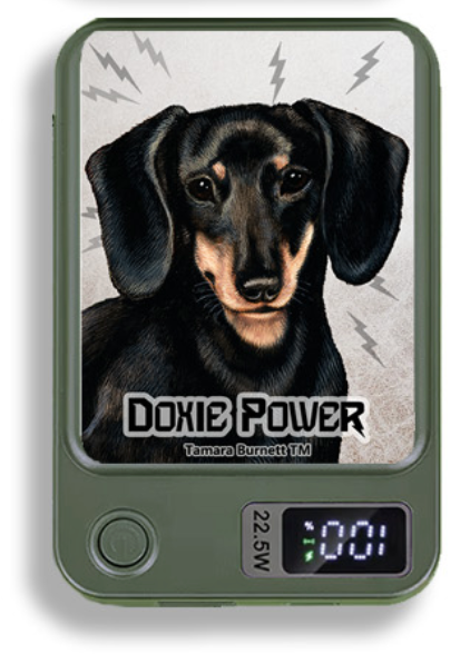 Doxie Wireless Magnetic Phone Charger Bank
