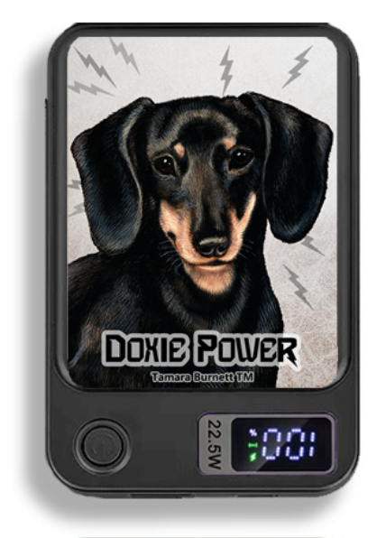 Doxie Wireless Magnetic Phone Charger Bank