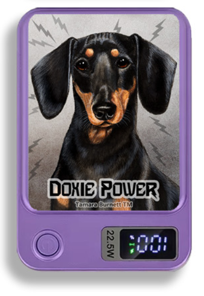 Doxie Wireless Magnetic Phone Charger Bank