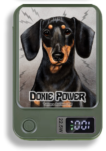 Doxie Wireless Magnetic Phone Charger Bank