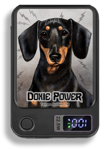 Doxie Wireless Magnetic Phone Charger Bank