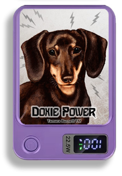 Doxie Wireless Magnetic Phone Charger Bank