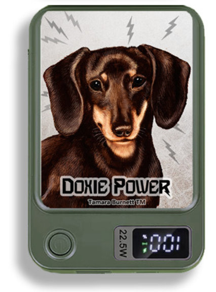 Doxie Wireless Magnetic Phone Charger Bank