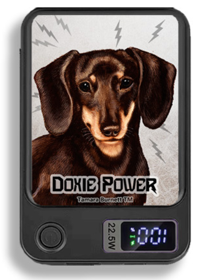 Doxie Wireless Magnetic Phone Charger Bank