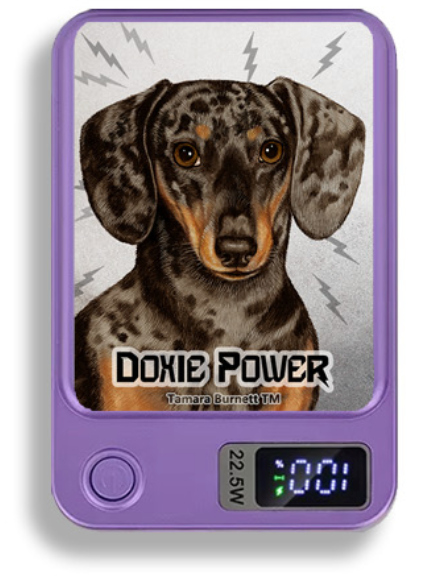 Doxie Wireless Magnetic Phone Charger Bank