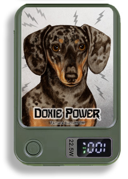 Doxie Wireless Magnetic Phone Charger Bank