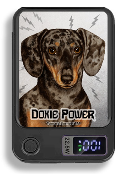 Doxie Wireless Magnetic Phone Charger Bank
