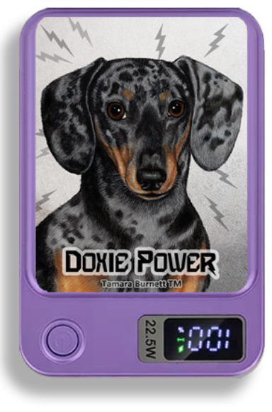 Doxie Wireless Magnetic Phone Charger Bank