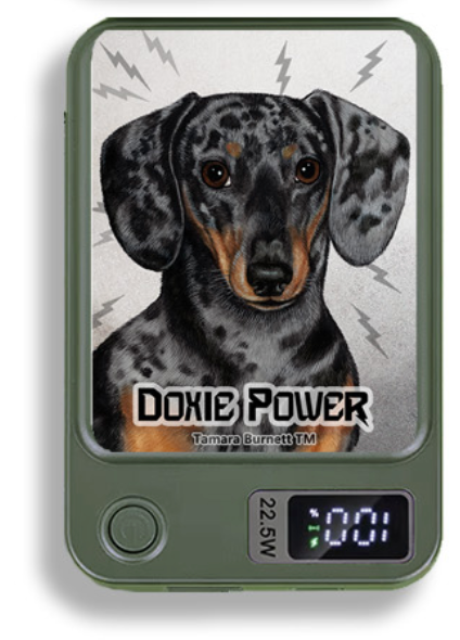 Doxie Wireless Magnetic Phone Charger Bank