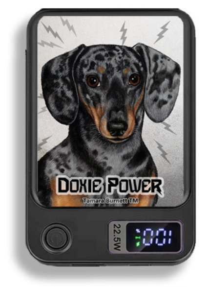 Doxie Wireless Magnetic Phone Charger Bank