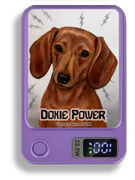 Doxie Wireless Magnetic Phone Charger Bank