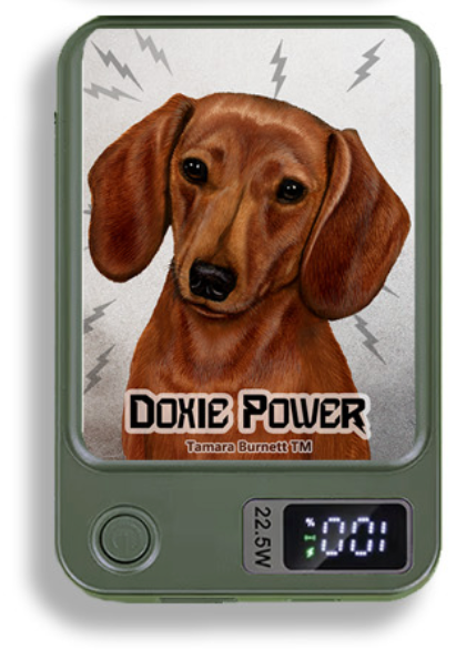 Doxie Wireless Magnetic Phone Charger Bank
