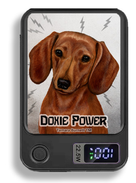 Doxie Wireless Magnetic Phone Charger Bank