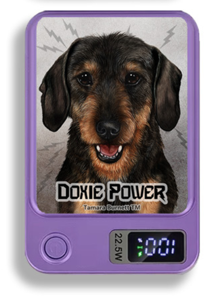Doxie Wireless Magnetic Phone Charger Bank