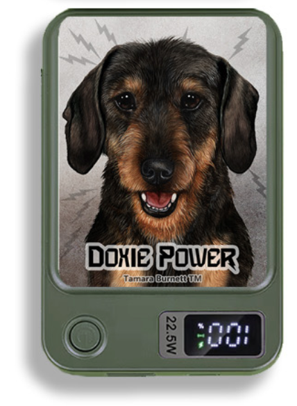 Doxie Wireless Magnetic Phone Charger Bank