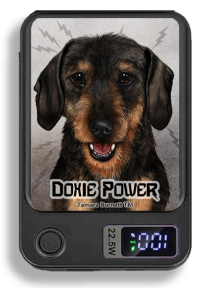 Doxie Wireless Magnetic Phone Charger Bank