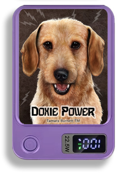 Doxie Wireless Magnetic Phone Charger Bank