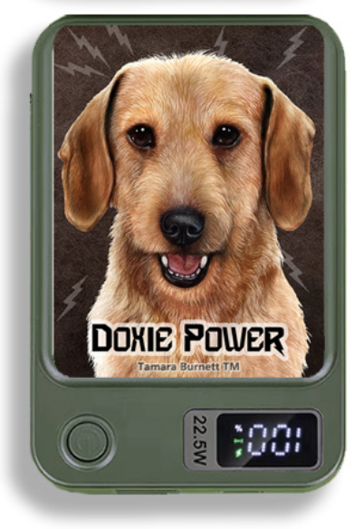 Doxie Wireless Magnetic Phone Charger Bank