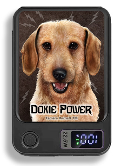 Doxie Wireless Magnetic Phone Charger Bank