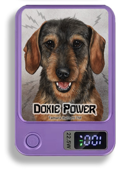 Doxie Wireless Magnetic Phone Charger Bank