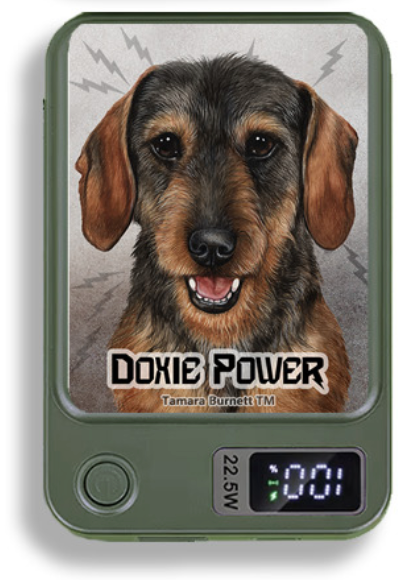 Doxie Wireless Magnetic Phone Charger Bank