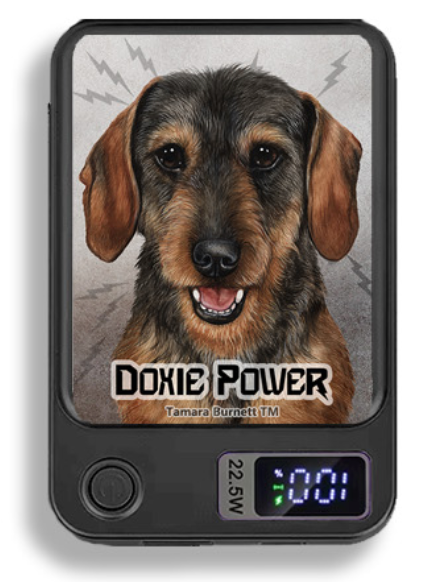 Doxie Wireless Magnetic Phone Charger Bank