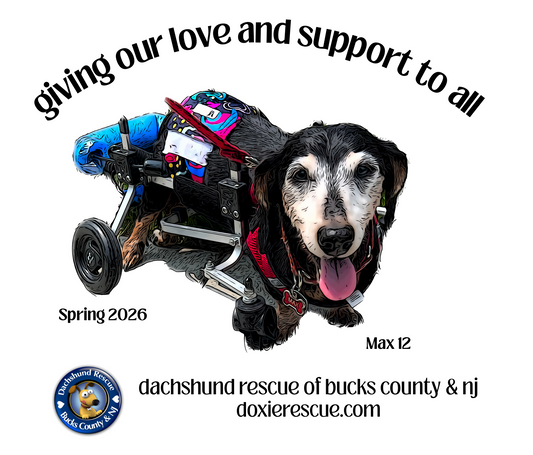 DRBC 2026 Spring Tee-Shirt