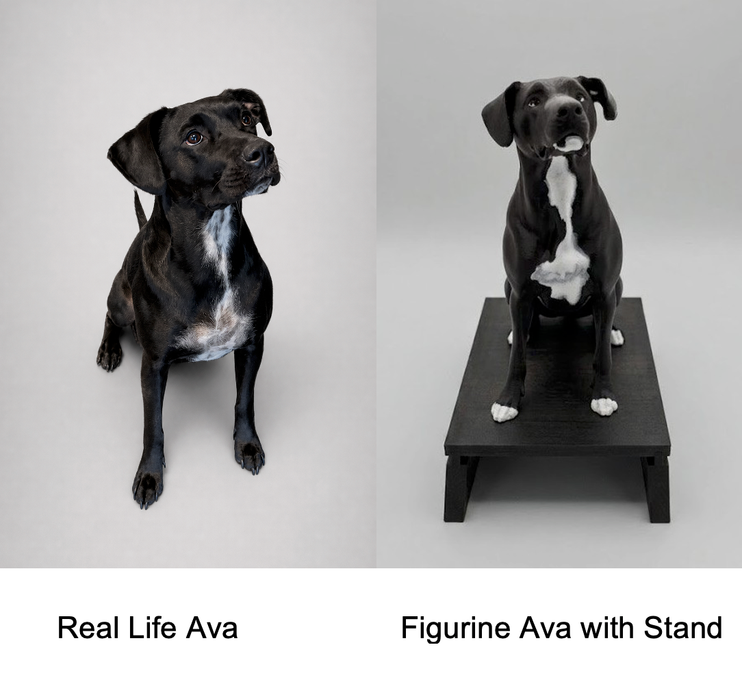 Custom 3D Pet