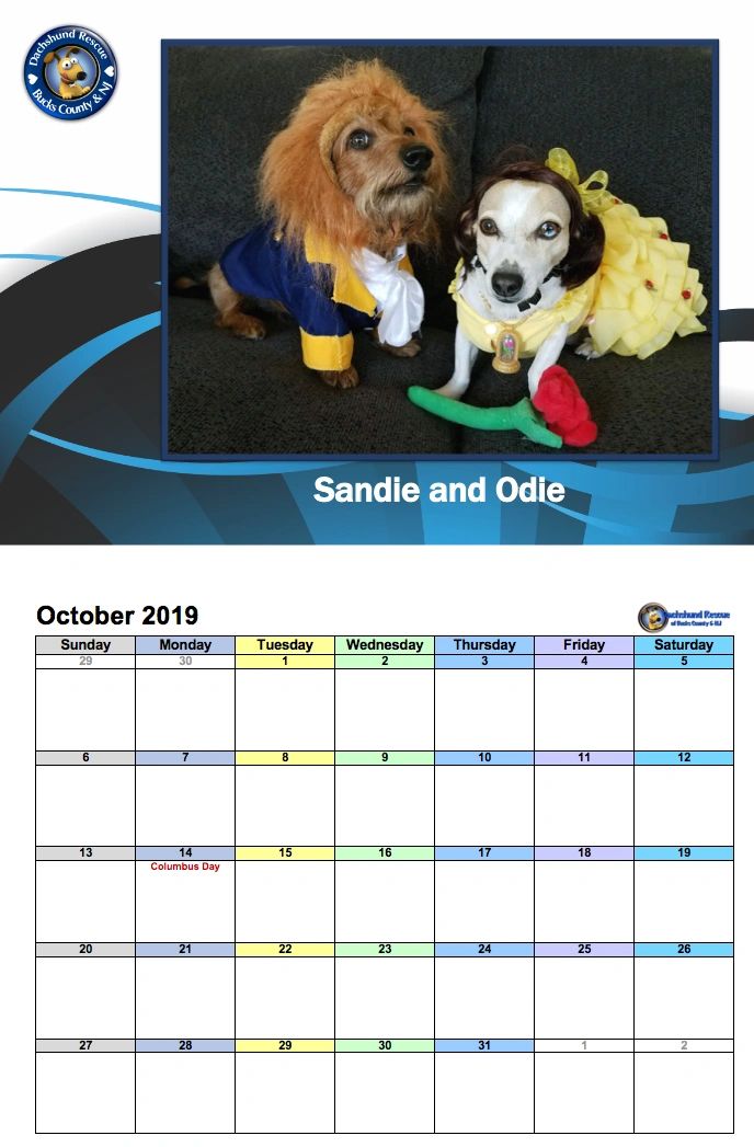 2019 DRBC Calendar