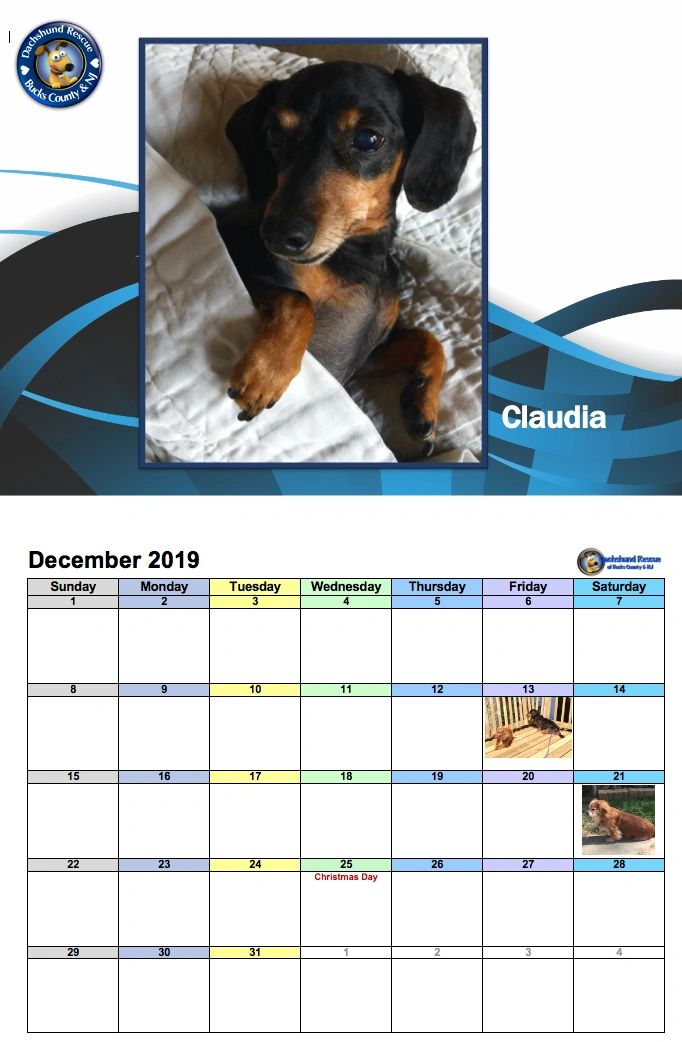 2019 DRBC Calendar & Planner Combo