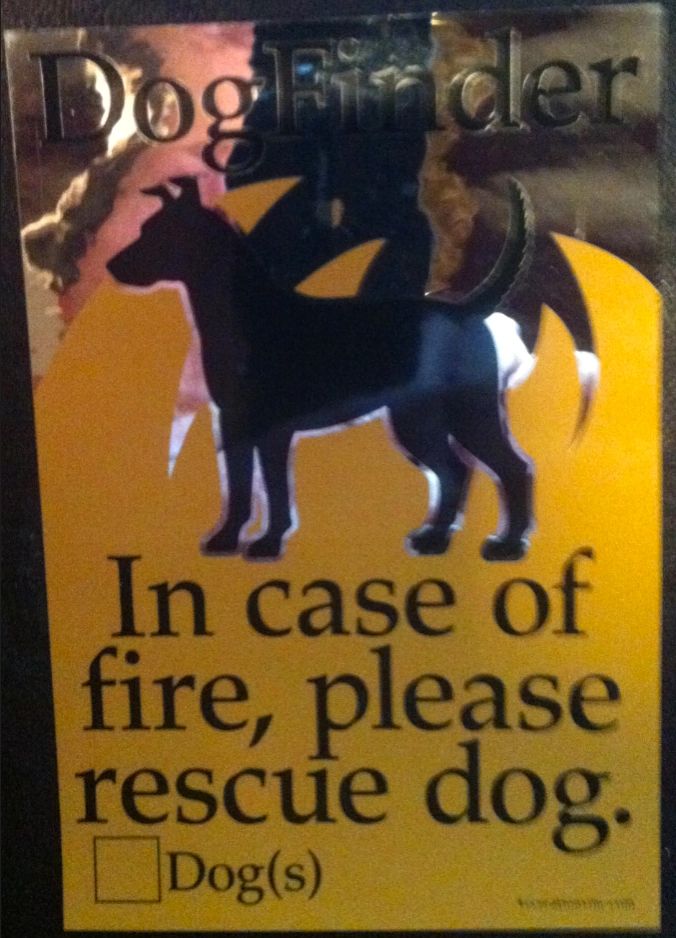 Fire Safety Dog Finder