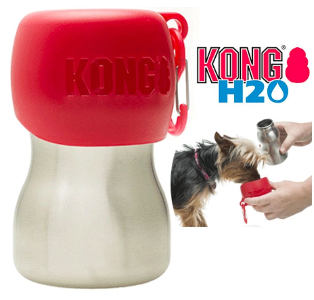 Kong Doxie Water Bottle