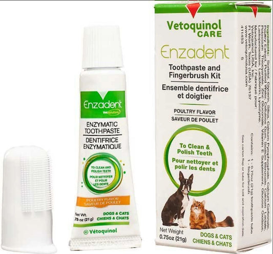 Enzadent Toothpaste and Fingerbrush Kit