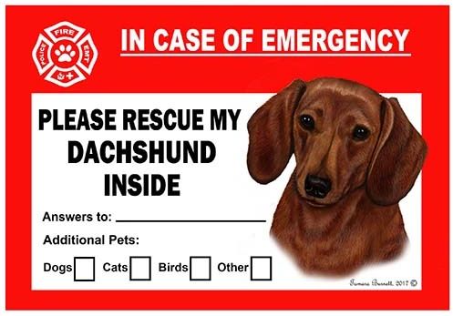 Dashshund Pet Savers Emergency Cling