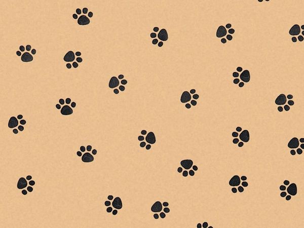 Paw Print Tissue Paper