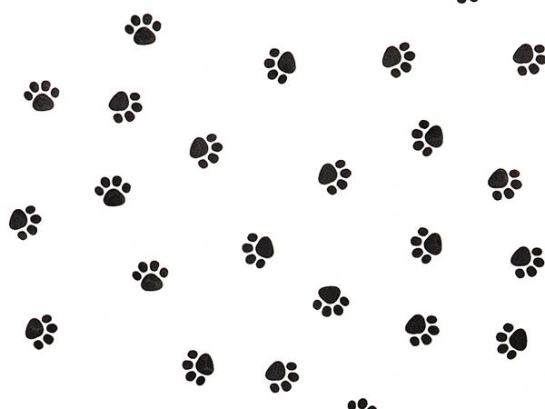 Paw Print Tissue Paper